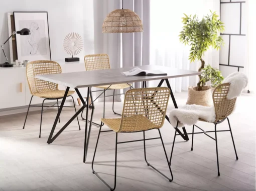 Lot De 2 Chaises En Rotin Clair ELFROS -Meilleur Meubles Magasin chaise 14837155