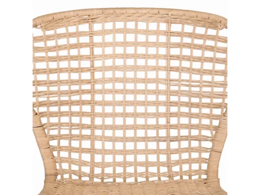 Lot De 2 Chaises En Rotin Clair ELFROS -Meilleur Meubles Magasin chaise 14837169