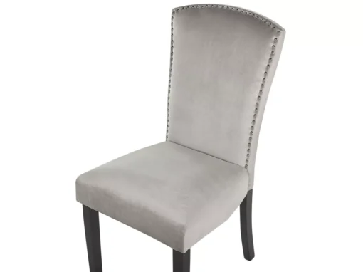 Lot De 2 Chaises En Velours Gris PISECO -Meilleur Meubles Magasin chaise 16689509