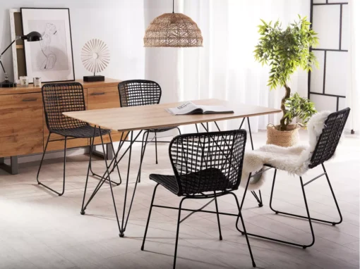 Lot De 2 Chaises En Rotin Noir ELFROS -Meilleur Meubles Magasin chaise 17172191