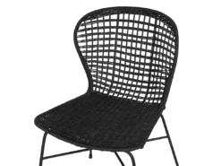 Lot De 2 Chaises En Rotin Noir ELFROS -Meilleur Meubles Magasin chaise 17172201