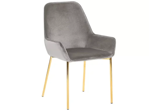 Lot De 2 Chaises En Velours Gris LOVERNA -Meilleur Meubles Magasin chaise 17175319