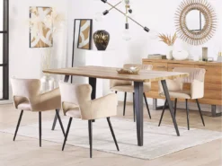 Lot De 2 Chaises De Salle à Manger En Velours Taupe SANILAC -Meilleur Meubles Magasin chaise 17476027