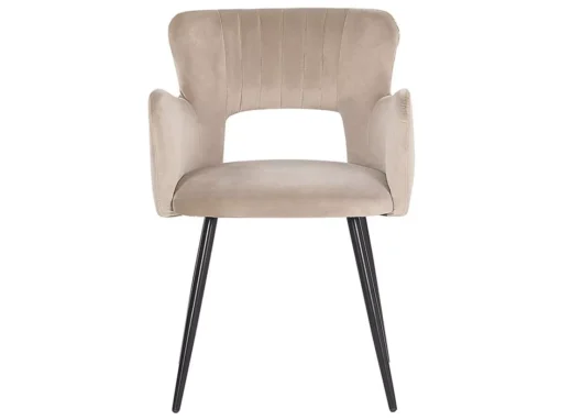 Lot De 2 Chaises De Salle à Manger En Velours Taupe SANILAC -Meilleur Meubles Magasin chaise 17476031