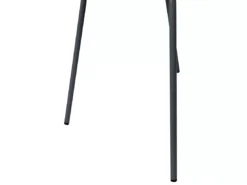 Lot De 2 Chaises De Salle à Manger Noir SHONTO -Meilleur Meubles Magasin chaise 18255671