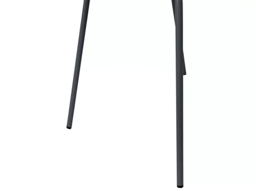 Lot De 2 Chaises De Salle à Manger Noir SHONTO -Meilleur Meubles Magasin chaise 18255671