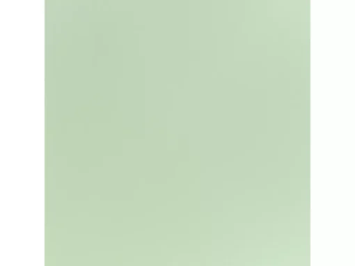 Lot De 2 Chaises De Salle à Manger Vert Clair UTICA -Meilleur Meubles Magasin chaise 18257789