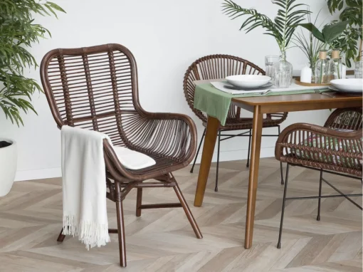 Chaise En Rotin Foncé TOGO -Meilleur Meubles Magasin chaise 18447355