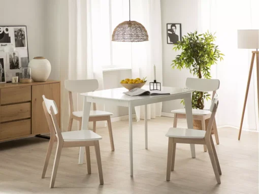 Lot De 2 Chaises Blanches SANTOS -Meilleur Meubles Magasin chaise 18757745