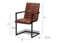 Lot De 2 Chaises Avec Accoudoirs Fanny - Simili Et Métal - Marron -Meilleur Meubles Magasin chaise 18874805