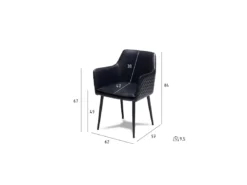 Lot De 2 Chaises Avec Accoudoirs Shiva - Simili Et Métal - Noir -Meilleur Meubles Magasin chaise 18875497