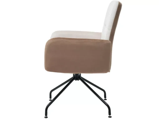 Lot De 6 Chaises En Velours Assorties - Chaise De Salle à Manger, Beige -Meilleur Meubles Magasin chaise 24416049