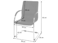 Chaise De Salle à Manger Perm,noir -Meilleur Meubles Magasin chaise 24546931