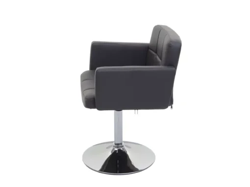 Chaise De Salle à Manger Houston,gris -Meilleur Meubles Magasin chaise 24552169