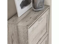Armoire À Chaussures Avec 2 Abattants Pour Entrée Couloir, Effet Bois, Fsr137-hg -Meilleur Meubles Magasin meuble de rangement 19203625