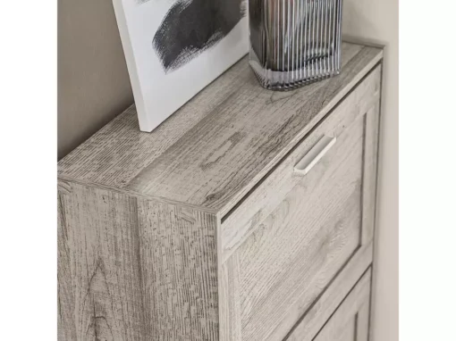 Armoire À Chaussures Avec 2 Abattants Pour Entrée Couloir, Effet Bois, Fsr137-hg -Meilleur Meubles Magasin meuble de rangement 19203625