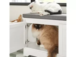 Banc De Rangement Banc À Chaussures Avec 2 Portes Et 3 Bols Meuble Bas Litière Chat, Fsr136-w -Meilleur Meubles Magasin meuble de rangement 19203669