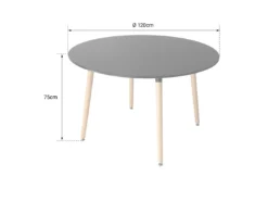 Table Ronde 120cm Noire MARTHA - HAPPY GARDEN -Meilleur Meubles Magasin table a manger 13090905