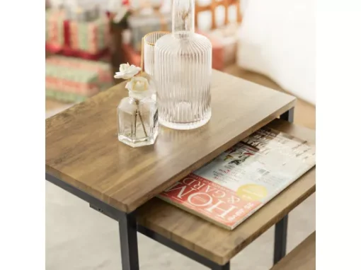 Lot De 3 Tables Basses Gigognes Set De 3 Tables D'appoint Empilables, FBT102-F -Meilleur Meubles Magasin table basse 19123899
