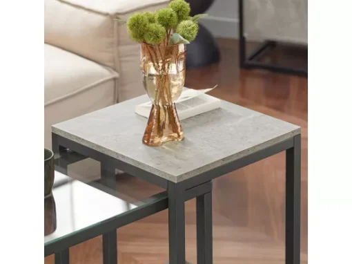 Lot De 2 Tables Basses Gigognes Tables De Salon Set De 2 Tables D'appoint Empilables Gris, Fbt35-hg -Meilleur Meubles Magasin table basse 19124371