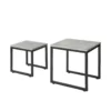 Tables Basses Gigognes - Set De 2, Fbt42-hg -Meilleur Meubles Magasin table basse 22741301