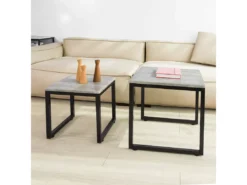 Tables Basses Gigognes - Set De 2, Fbt42-hg -Meilleur Meubles Magasin table basse 22741305